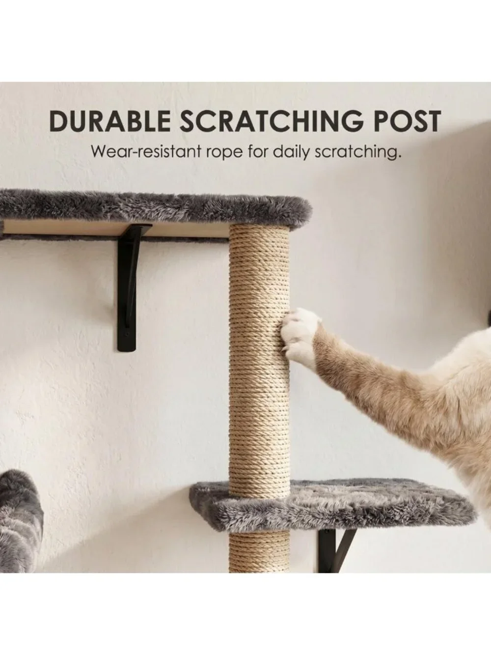 5-in-1 Cat Wall Shelves for Large Cats - Space-Saving Climbing Furniture